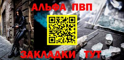 прущие крисы Кингисепп
