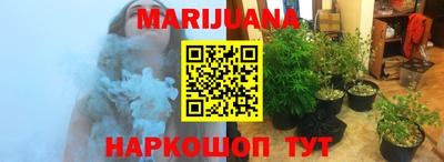 прущие крисы Кингисепп
