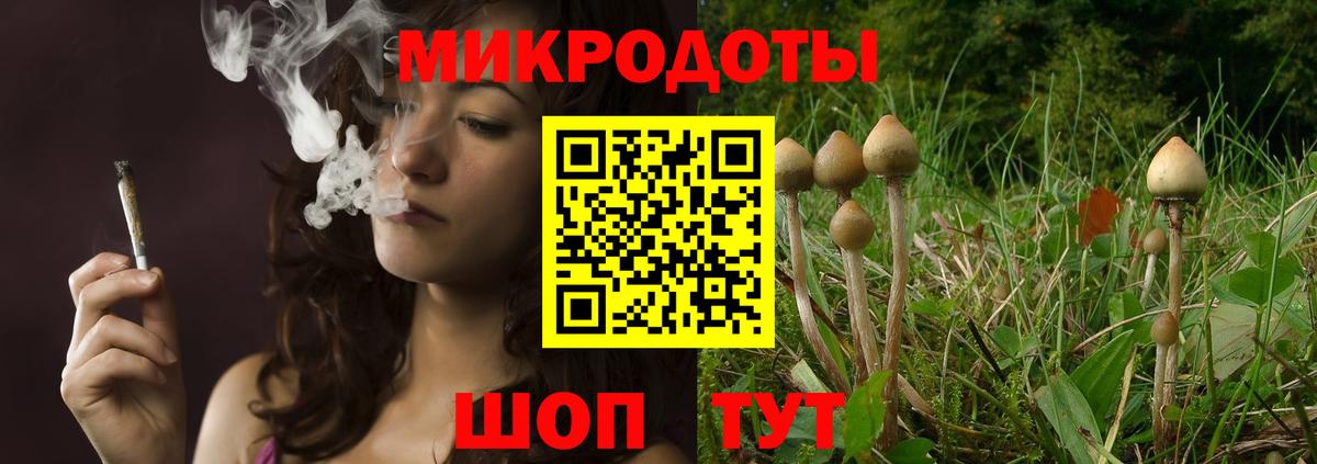 Красногорск  Галлюциногенные грибы мухоморы  Вход с VPN 